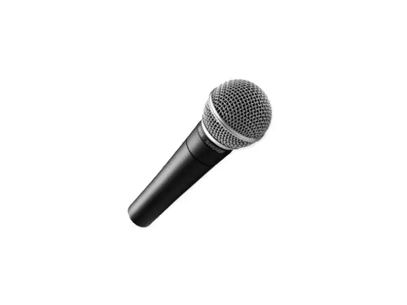 Micro Filaire Shure SM58